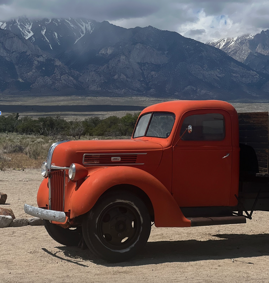 What the Desert Taught Us: Walking the Asian American Civil Rights Trail