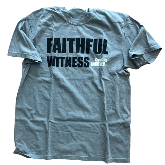 faithful witness T